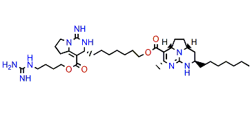 Dinorbatzelladine B